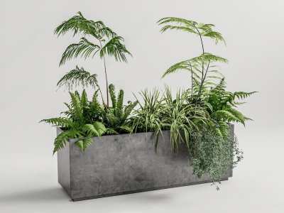蕨类植物堆3D模型下载
